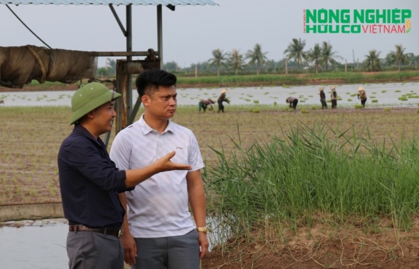 Gian nan hành trình tìm %22hộ chiếu” quốc tế cho hạt gạo ruộng rươi đất Cảng