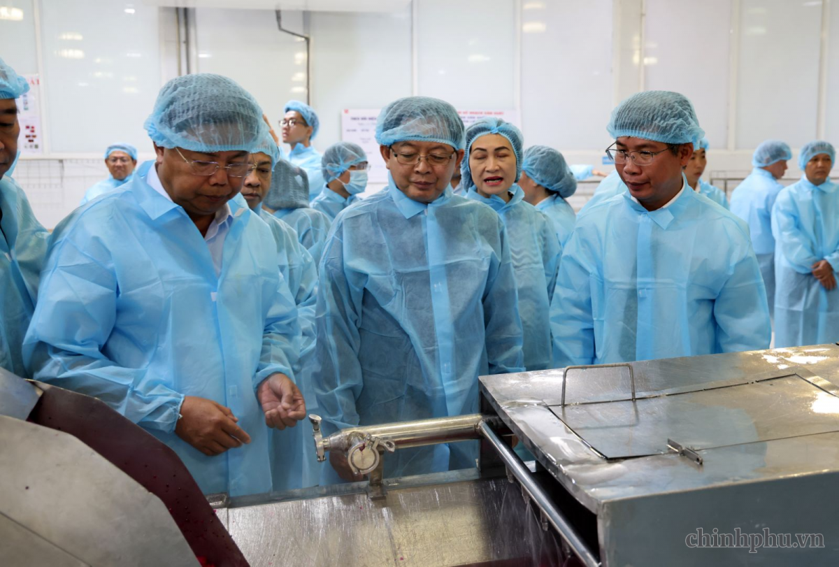 Phó Thủ tướng Hồ Quốc Dũng thăm quy trình sản xuất của Công ty Antesco - Ảnh: VGP/Gia Huy