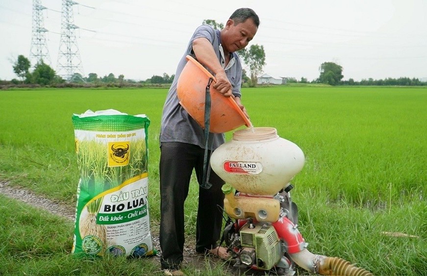 Cây lúa khỏe nhờ đất được "hồi sinh"