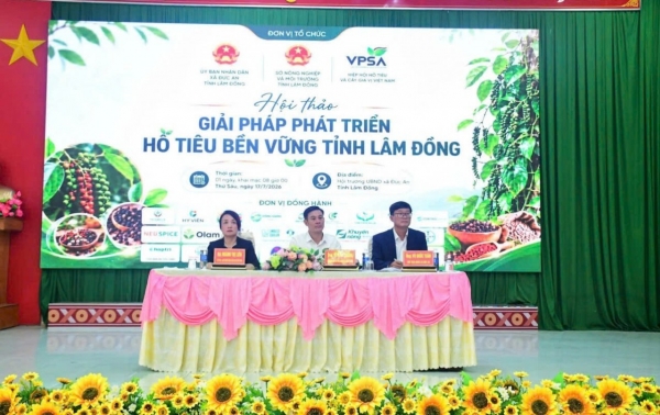 to chuc hoi thao giai phap phat trien ho tieu ben vung tinh lam dong