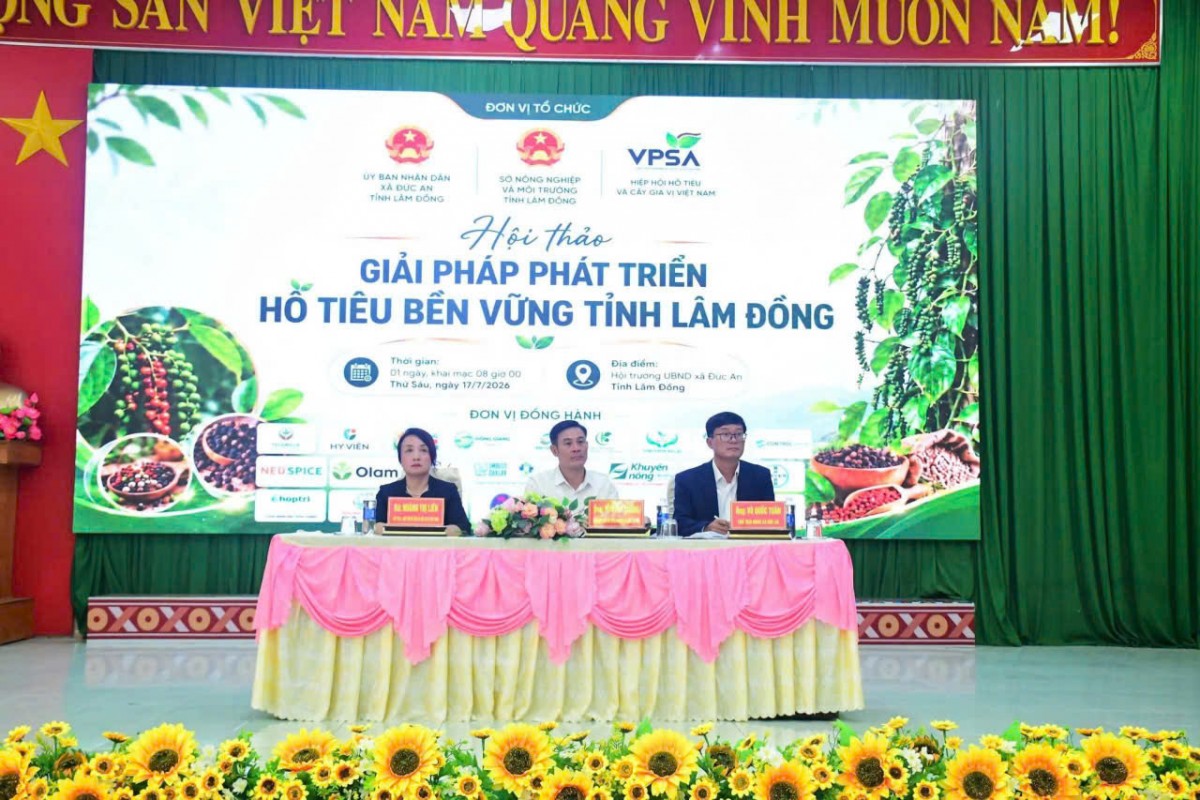 Tháo gỡ những “điểm nghẽn” trong chuỗi giá trị hồ tiêu tỉnh Lâm Đồng