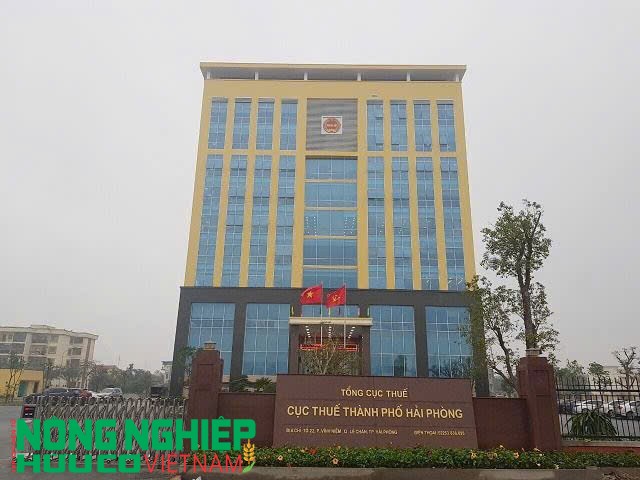 Hải Phòng: Hướng tới quản lý thuế 100% hộ, cá nhân kinh doanh sau khi xóa bỏ thuế khoán