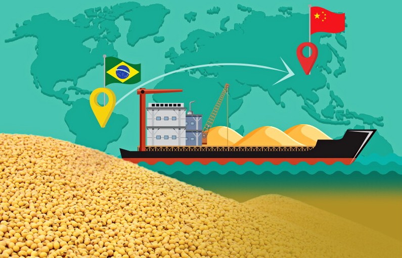 brazil tiep tuc cung co vi the tai thi truong dau tuong trung quoc xuat khau tu hoa ky sut giam