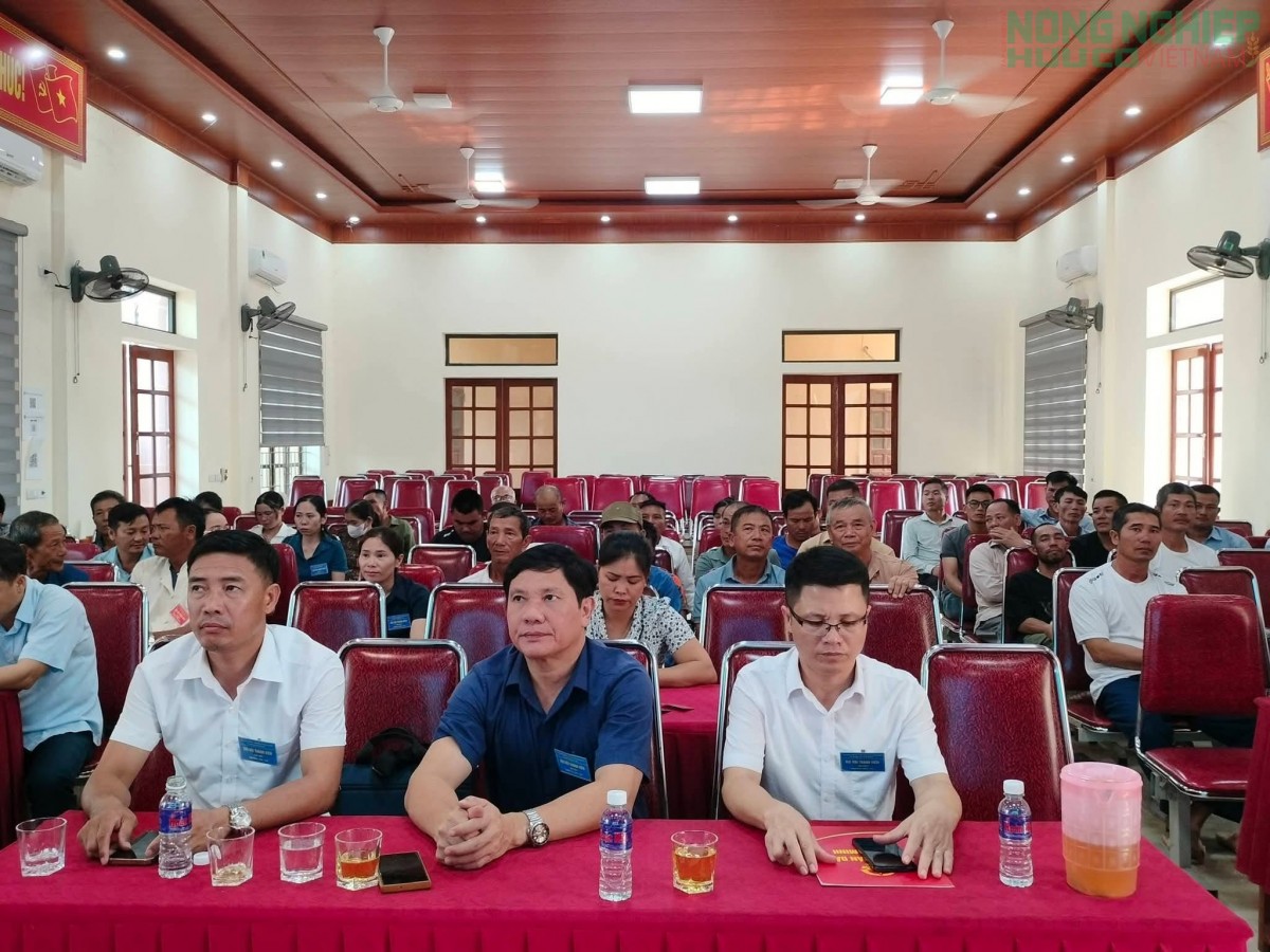 Nghệ An: Thành lập HTX nuôi trồng, chế biến và kinh doanh Ốc bươu đen Bình Minh