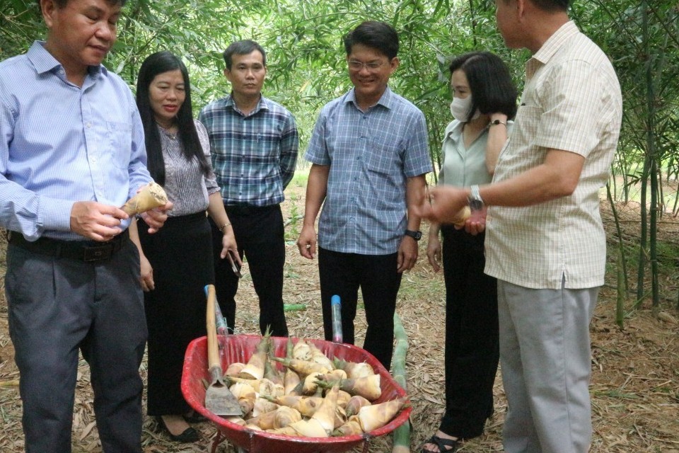 Quảng Trị: Tổ chức hội nghị phát triển kinh tế nông nghiệp xanh, nông nghiệp hữu cơ, tuần hoàn