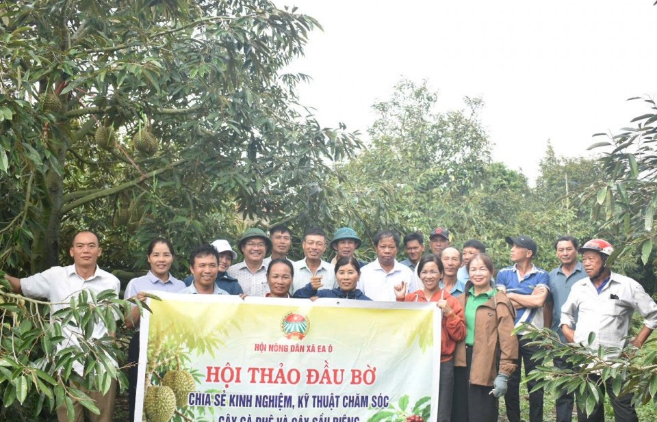 huong di moi tu mo hinh nong nghiep huu co cho cay sau rieng ca phe