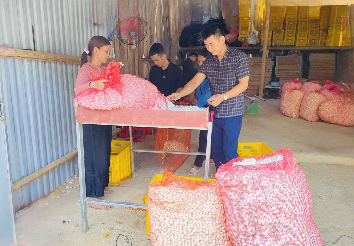 Kinh tế tập thể - Đòn bẩy phát triển nông thôn miền núi