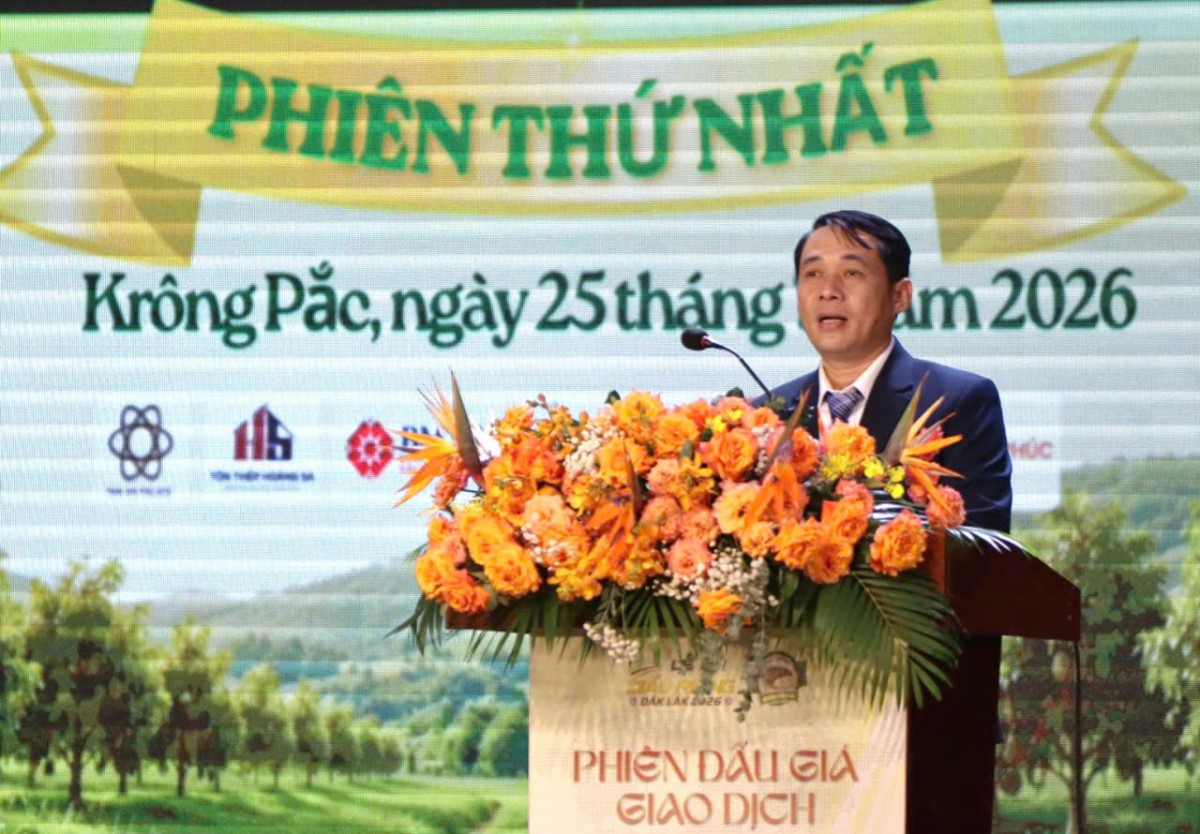 Đắk Lắk lần đầu tiên tổ chức phiên đấu giá giao dịch thành công lô sầu riêng gần 24 tỷ