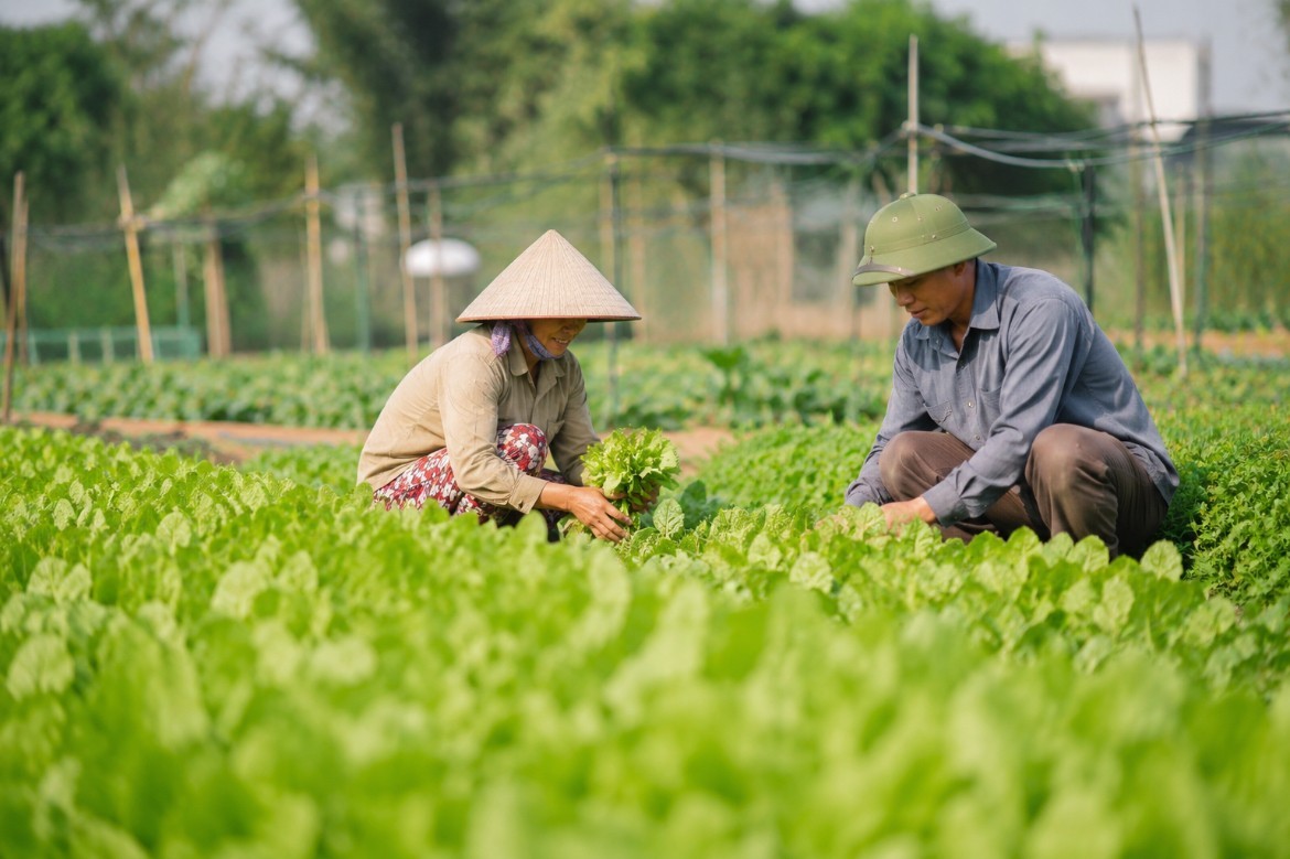 dong nai trien khai binh chon dien hinh tien tien phat trien nong nghiep huu co