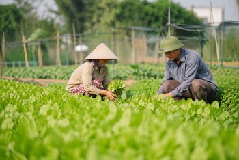Đồng Nai triển khai bình chọn điển hình tiên tiến phát triển nông nghiệp hữu cơ