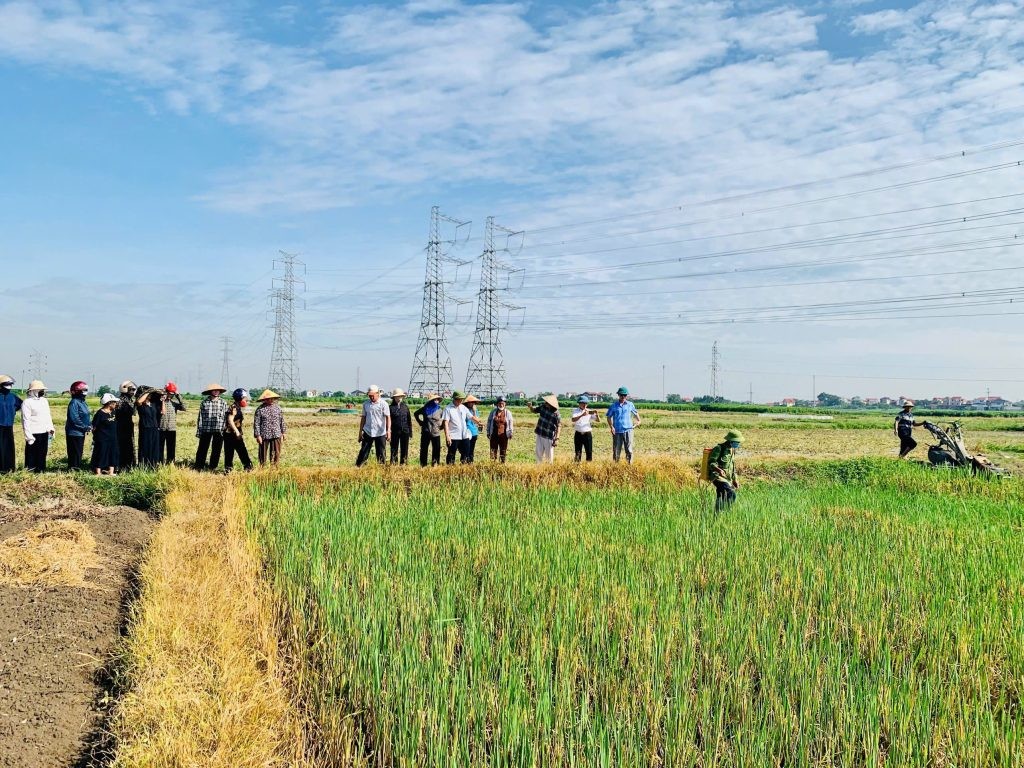 Phường Đào Viên (Bắc Ninh): Tập trung rà soát tôn vinh các điển hình nông nghiệp hữu cơ năm 2026