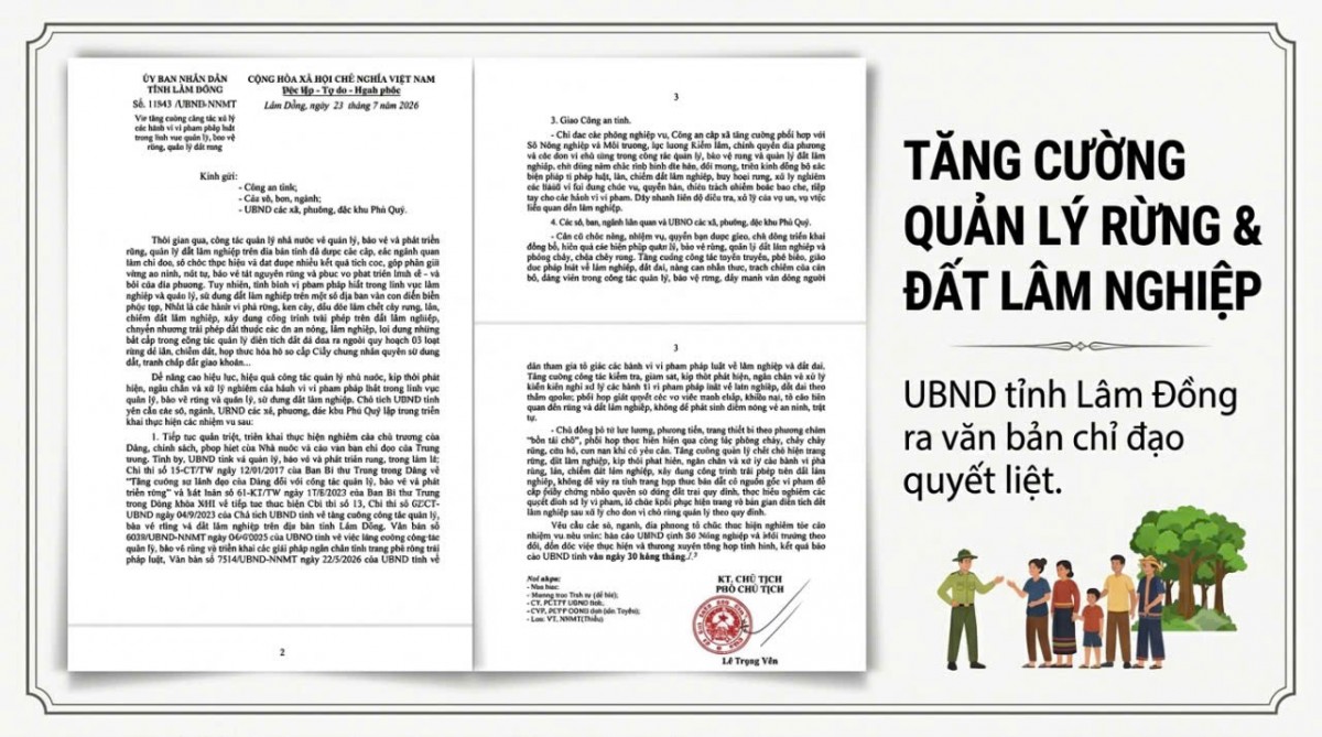 Yêu cầu Công ty TNHH SXTM Việt Thổ trồng rừng theo đúng phương án phê duyệt
