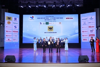 phan bon binh dien trong top 10 nhan hieu noi tieng viet nam 2026