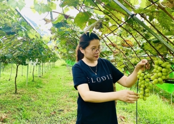 Lan toả giá trị nông nghiệp hữu cơ từ một gia đình cán bộ xã