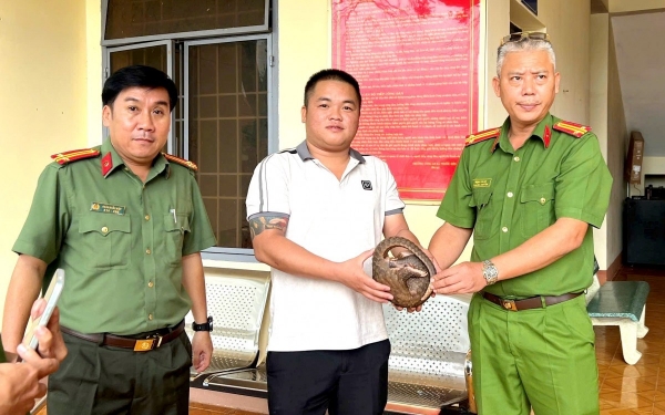 Đồng Nai: Tiếp nhận cá thể tê tê Java quý hiếm do người dân giao nộp