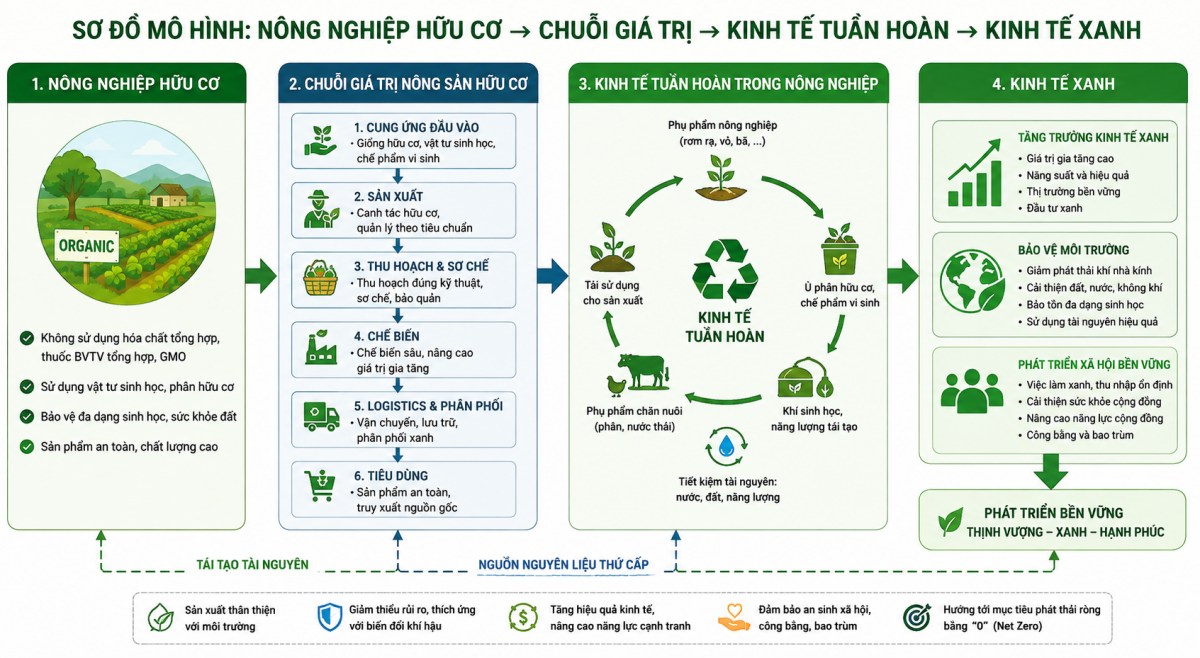 Nông nghiệp hữu cơ: Một giải pháp thúc đẩy kinh tế xanh ở Việt Nam