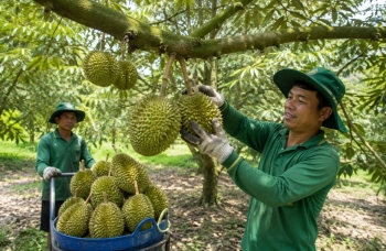 Trung Quốc công nhận thêm 18 phòng xét nghiệm Cadimi và Vàng O của Việt Nam