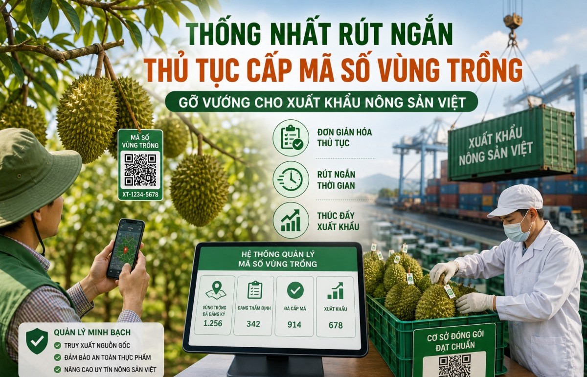 rut ngan thu tuc cap ma so vung trong dong bo giai phap so tao but pha xuat khau nong san
