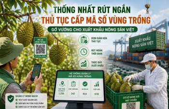 Rút ngắn thủ tục cấp mã số vùng trồng: Đồng bộ giải pháp số tạo bứt phá xuất khẩu nông sản