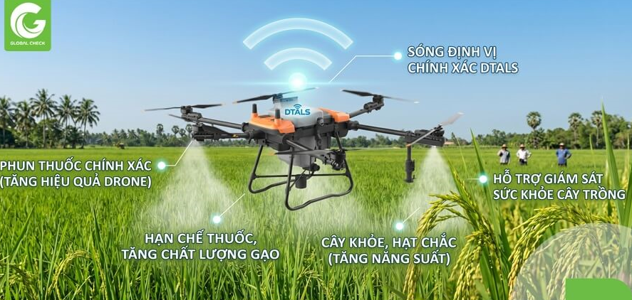 Cách mạng công nghệ cao: Lời giải cho bài toán phát triển nông nghiệp Việt