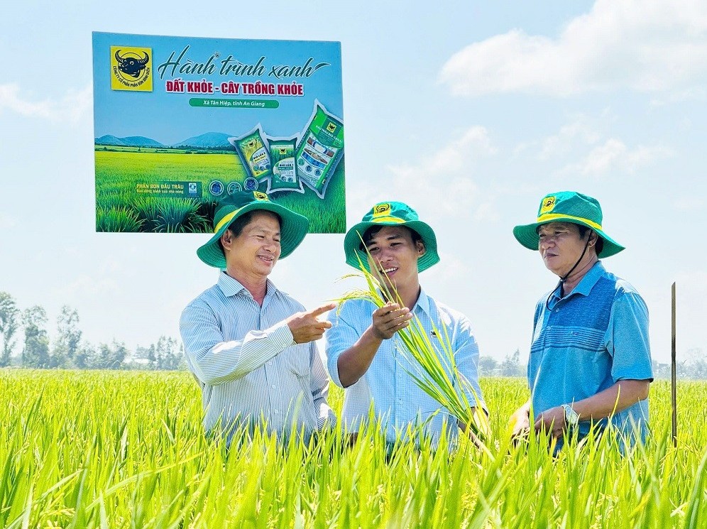 Đất khỏe, cây khỏe, người nông dân thêm niềm tin