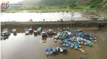 Quảng Ninh: Kiểm soát sản lượng thủy sản qua hệ thống eCDT