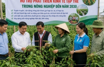 Gia Lai triển khai Đề án Hội Nông dân tham gia phát triển kinh tế tập thể đến năm 2030