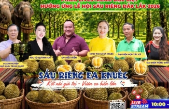 Ea Knuếc vào mùa sầu riêng, đẩy mạnh quảng bá qua phiên livestream kết nối và tiêu thụ