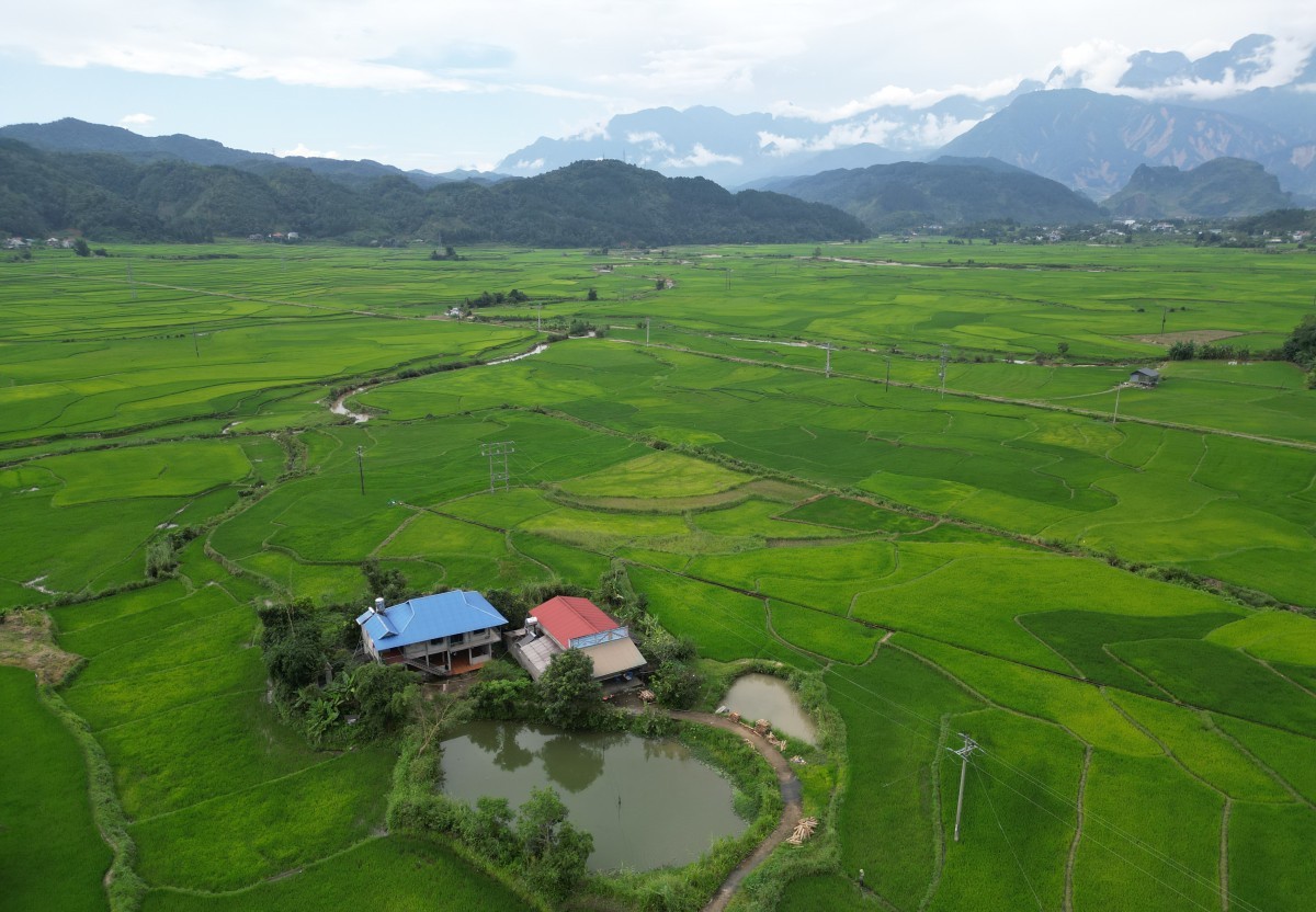 mua xanh tren canh dong muong than