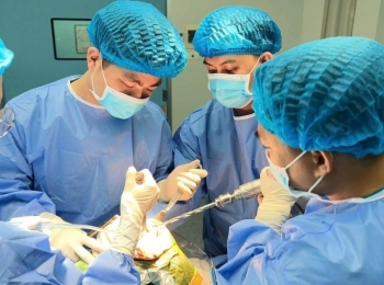 Hà Tĩnh: Thay khớp gối bảo tồn cơ bằng kỹ thuật Subvastus