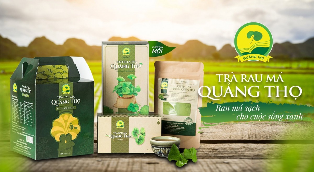 Trà rau má Quảng Thọ