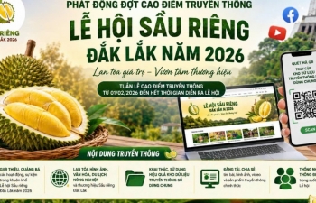 Đắk Lắk phát động cao điểm truyền thông Lễ hội Sầu riêng 2026