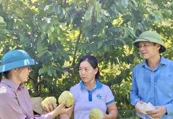 Người phụ nữ năng động làm giàu chính đáng trên mảnh đất quê hương
