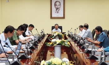 Đà Nẵng định hướng đưa Sâm Ngọc Linh trở thành cây chủ lực