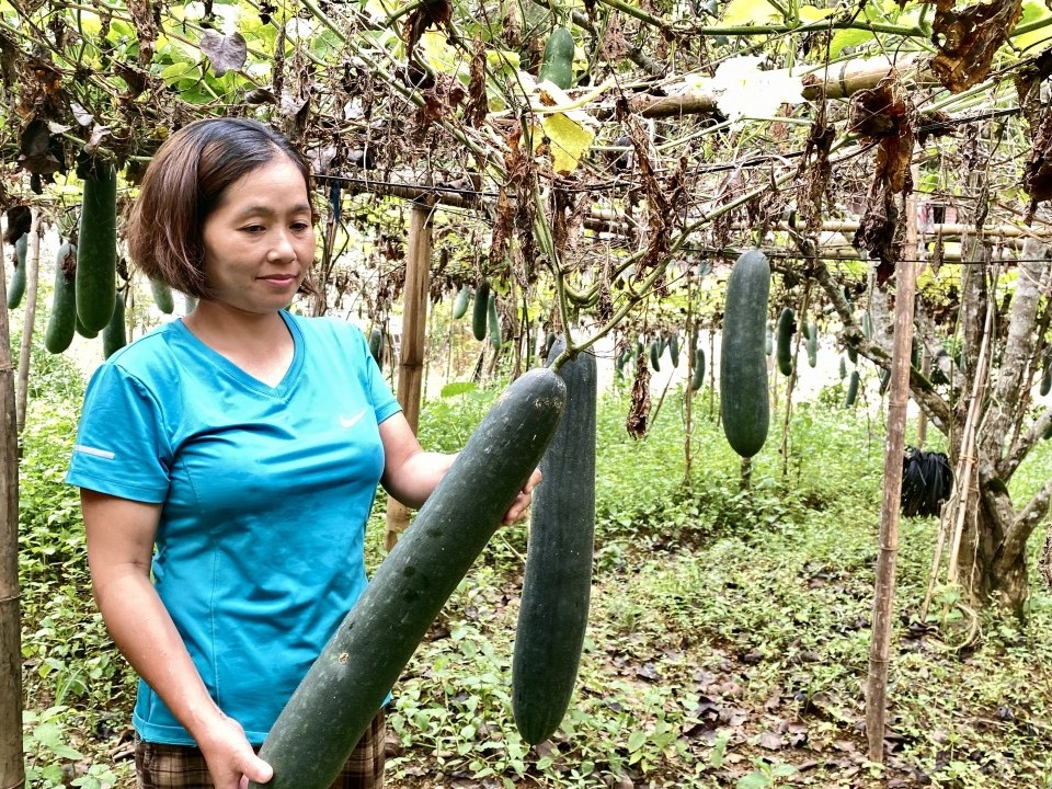 nu can bo hoi truyen lua phong trao nong dan san xuat gioi