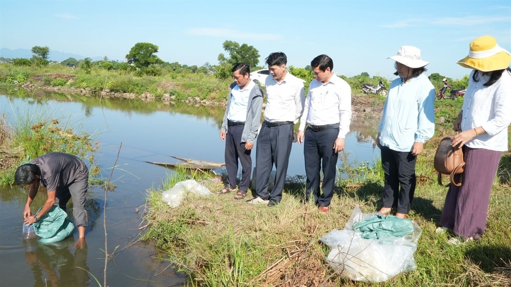 Triển khai mô hình