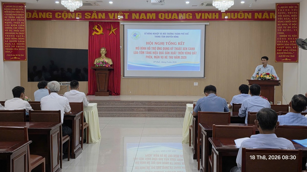 Tp. Huế: Từ những ruộng lúa kém hiệu quả đến mô hình lúa - tôm bền vững