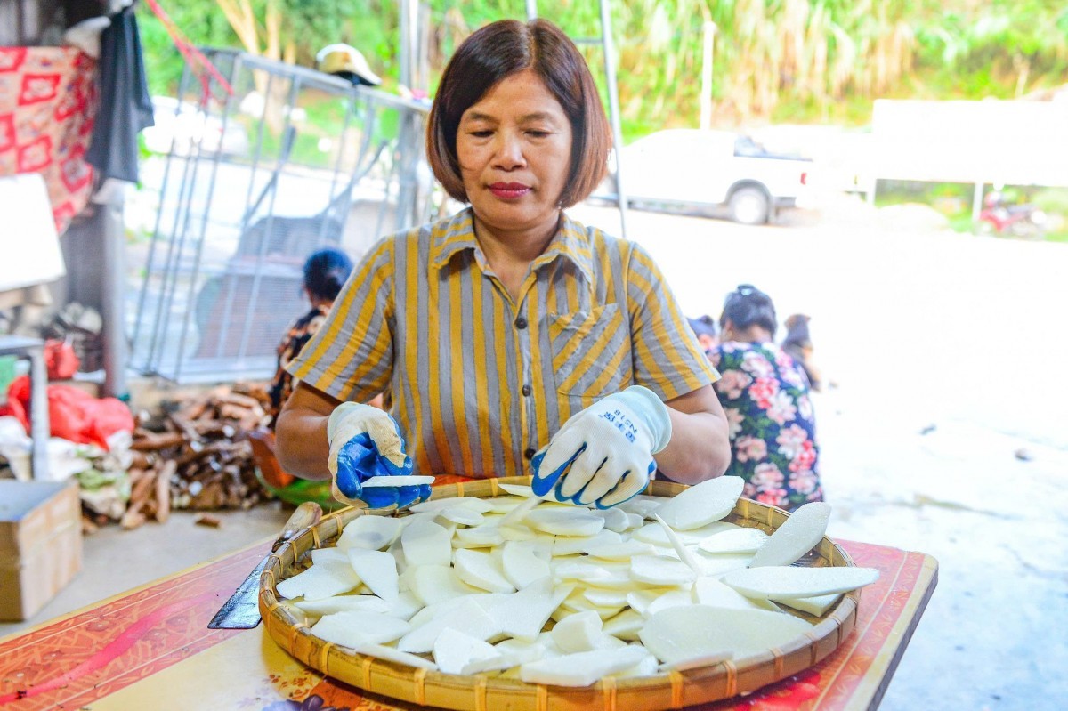 cu mai luong thuc ngay giap hat den san pham ocop tiem nang
