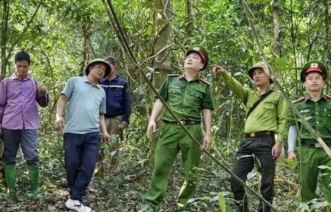 Đắk Lắk triển khai biện pháp cấp bách phòng cháy, chữa cháy rừng giữa nắng nóng kéo dài