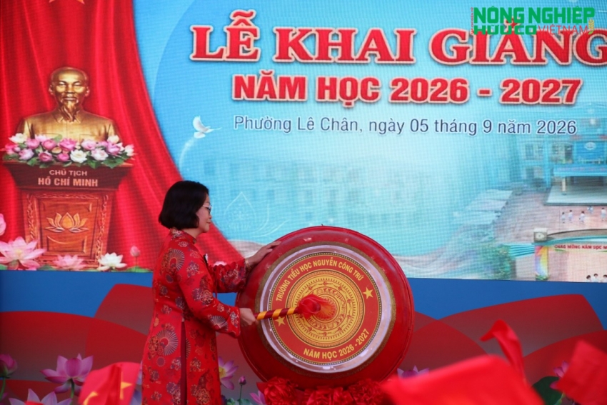 Hải Phòng rộn ràng khai giảng năm học mới 2026-2027