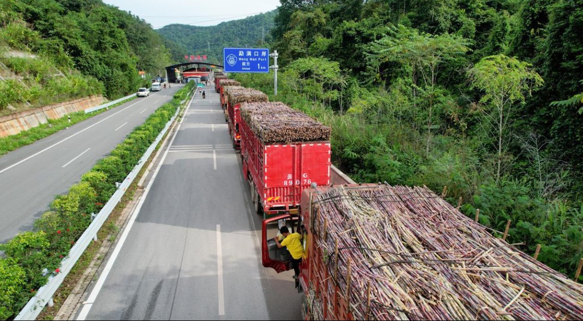 Dự trữ đường lớn giúp Trung Quốc giảm sức ép từ cơn sốt giá đường toàn cầu