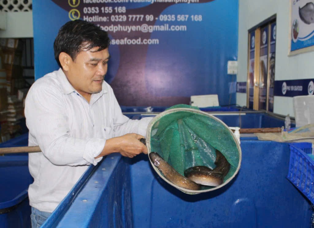 Kết nối cung – cầu công nghệ, mở hướng nghề nuôi cá chình bông bền vững mới tại Đắk Lắk