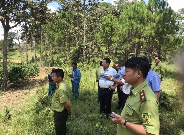 Lâm Đồng: Xã Quảng Tân kiểm tra, xác minh các trường hợp lấn chiếm đất đai tại một số Tiểu khu