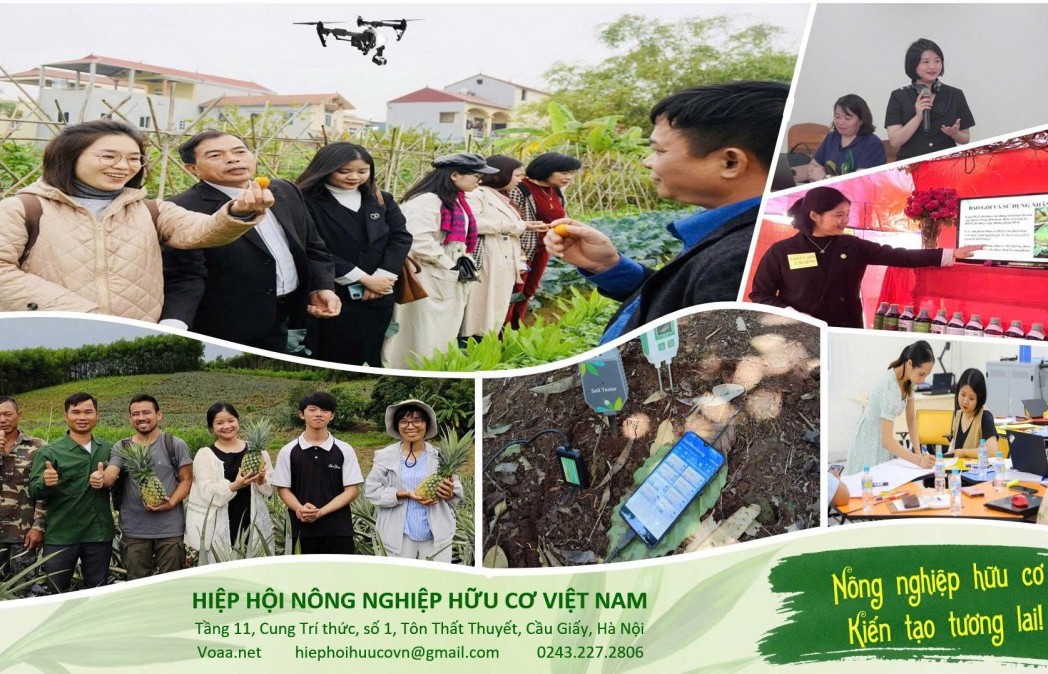 vai tro cua nguoi tre trong hanh trinh phat trien nong nghiep huu co viet nam