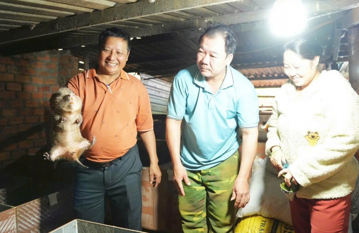mo hinh nuoi dui mang lai hieu qua kinh te cao o xa bien gioi quang truc