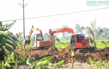 Nghệ An: Xử phạt hộ dân san lấp đất nông nghiệp trái phép 70 triệu đồng