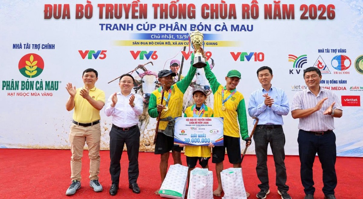 Phân Bón Cà Mau đồng hành lan tỏa bản sắc Hội đua bò Chùa Rô 2026
