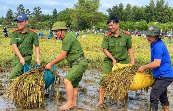 Mưa lớn quật ngã lúa, cả xã lội bùn %22chạy đua%22 với thời tiết
