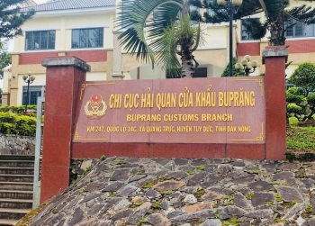 Lâm Đồng đề nghị bố trí đơn vị giám định sinh vật gây hại tại cửa khẩu BuPrăng và Đăk Peur