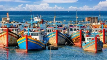 Bộ Tư lệnh Vùng 4 Hải quân: Đề nghị tăng cường phối hợp bảo đảm an toàn tàu cá trên biển